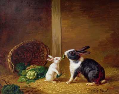 Two Rabbits by H. Baert